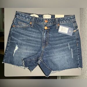 Universal Thread Dark Blue Jean Shorts